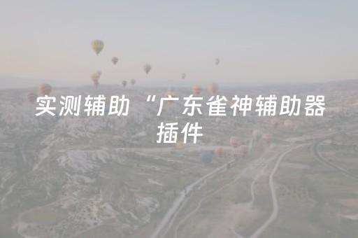 实测辅助“广东雀神辅助器插件（助赢神器通用版）