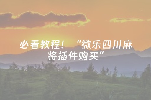 必看教程！“微乐四川麻将插件购买”（详细辅助教程）-哔哩哔哩