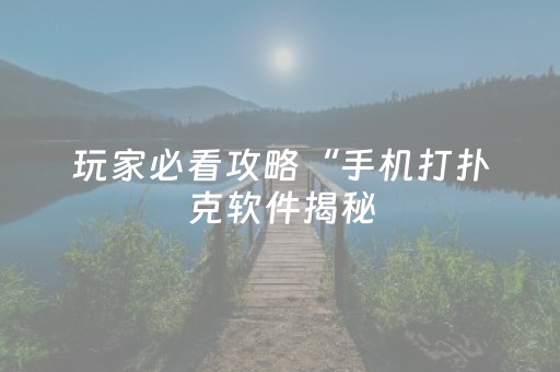 玩家必看攻略“手机打扑克软件揭秘（专用辅牌神器免安装）