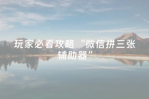 玩家必看攻略“微信拼三张辅助器”（详细透视教程）-哔哩哔哩