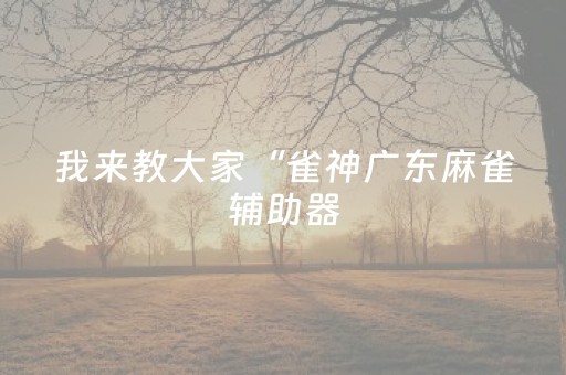 我来教大家“雀神广东麻雀辅助器（专用辅牌神器免安装）