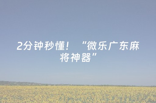 2分钟秒懂！“微乐广东麻将神器”（详细开挂教程）-哔哩哔哩