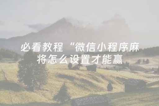 今日实测“微乐宁夏麻将助赢神器”（详细透视教程）-哔哩哔哩