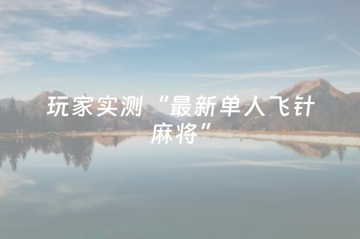 玩家实测“最新单人飞针麻将”（详细透视教程）-哔哩哔哩