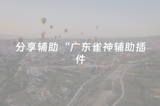 分享辅助“广东雀神辅助插件（专用辅牌神器免安装）