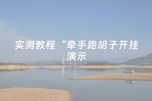 实测教程“牵手跑胡子开挂演示（专用辅牌神器免安装）