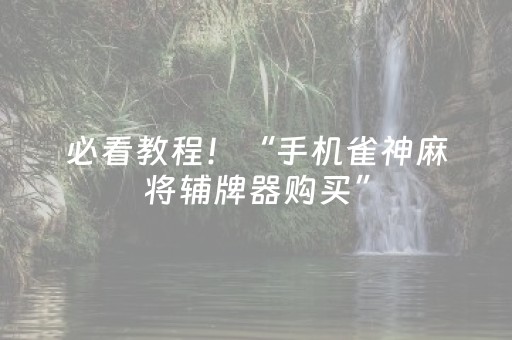 必看教程！“手机雀神麻将辅牌器购买”（详细辅助教程）-哔哩哔哩