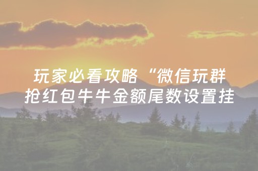 玩家必看攻略“微信玩群抢红包牛牛金额尾数设置挂”（详细透视教程）-哔哩哔哩