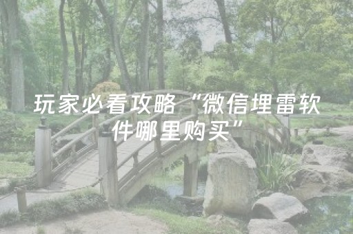玩家必看攻略“微信埋雷软件哪里购买”（详细透视教程）-哔哩哔哩