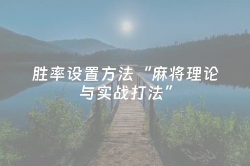 胜率设置方法“麻将理论与实战打法”（详细透视教程）-哔哩哔哩