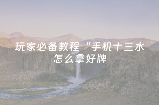 玩家必备教程“手机十三水怎么拿好牌（助赢神器通用版）