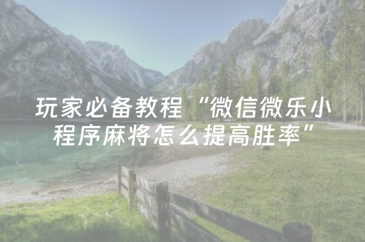 玩家必备教程“微信微乐小程序麻将怎么提高胜率”（详细透视教程）-哔哩哔哩
