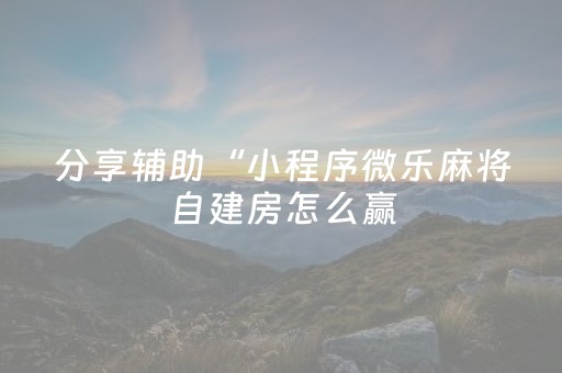 分享辅助“小程序微乐麻将自建房怎么赢（专用辅牌神器免安装）