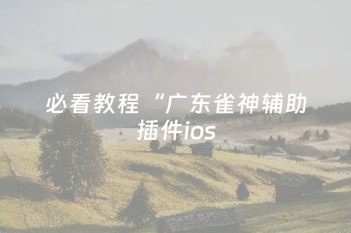 必看教程“广东雀神辅助插件ios（助赢神器通用版）