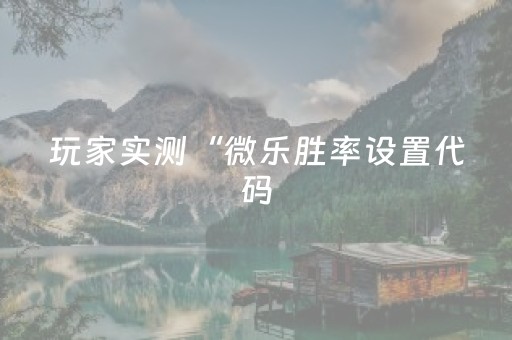 玩家实测“微乐胜率设置代码（助赢神器通用版）