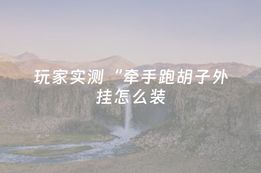 玩家实测“牵手跑胡子外挂怎么装（专用辅牌神器免安装）