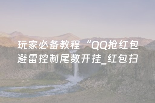 我来教大家“广东雀神智能插件安装包”（详细透视教程）-哔哩哔哩