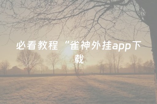 终于发现了“17麻将大菠萝修改器（助赢神器通用版）