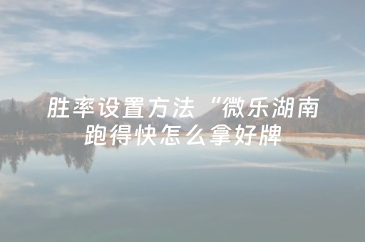2分钟秒懂！“微乐陕西麻将挂件神器”（详细辅助教程）-哔哩哔哩