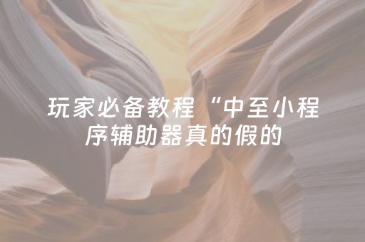 玩家必备教程“中至小程序辅助器真的假的（助赢神器通用版）