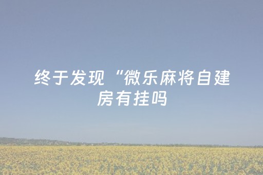 今日盘点“牵手跑胡子辅助器最新版”（详细透视教程）-哔哩哔哩