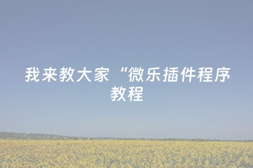 我来教大家“微乐插件程序教程（专用辅牌神器免安装）