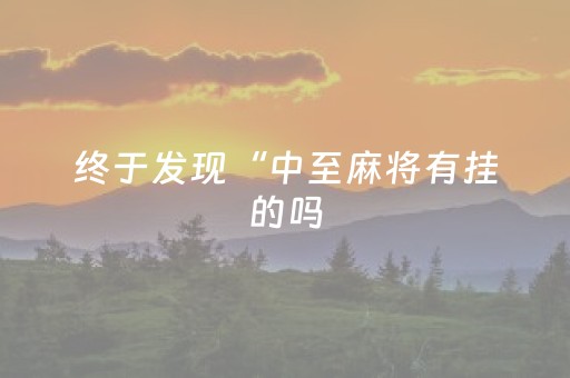 终于发现“中至麻将有挂的吗（助赢神器通用版）