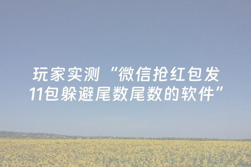 玩家实测“微信抢红包发11包躲避尾数尾数的软件”（详细透视教程）-哔哩哔哩