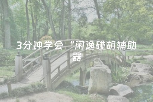 3分钟学会“闲逸碰胡辅助器（专用辅牌神器免安装）