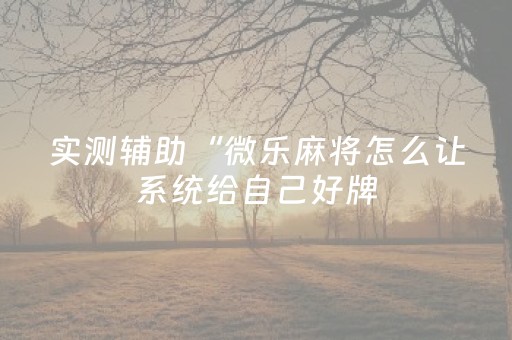 实测辅助“微乐麻将怎么让系统给自己好牌（助赢神器通用版）