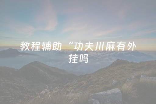 教程辅助“功夫川麻有外挂吗（专用辅牌神器免安装）