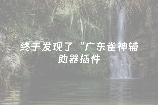 终于发现了“广东雀神辅助器插件（助赢神器通用版）