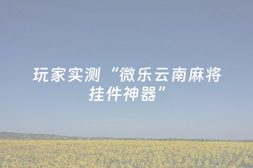 玩家实测“微乐云南麻将挂件神器”（详细透视教程）-哔哩哔哩