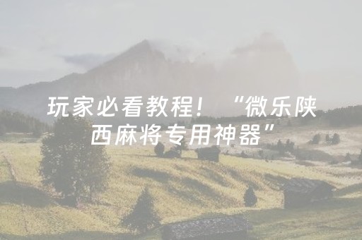 玩家必看教程！“微乐陕西麻将专用神器”（详细开挂教程）-哔哩哔哩