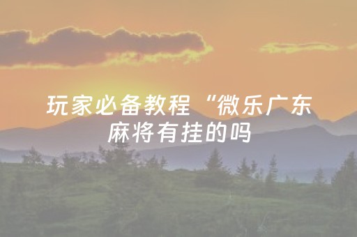 玩家必备教程“微乐广东麻将有挂的吗（专用辅牌神器免安装）