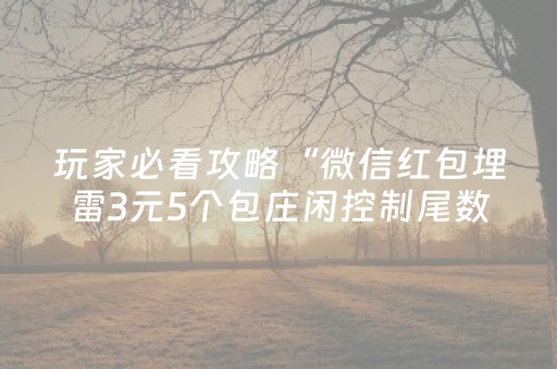 玩家必看攻略“微信红包埋雷3元5个包庄闲控制尾数包”（详细透视教程）-哔哩哔哩