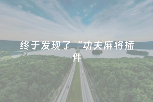 终于发现了“功夫麻将插件（助赢神器通用版）