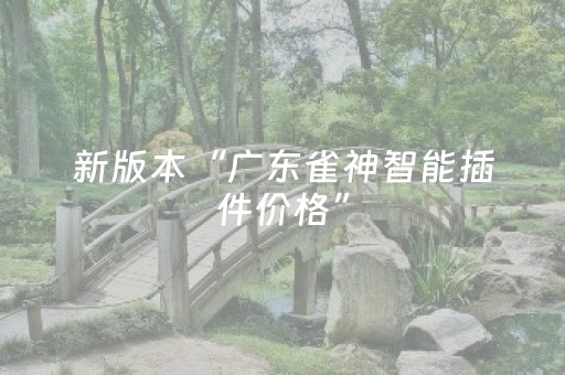 新版本“广东雀神智能插件价格”（详细透视教程）-哔哩哔哩