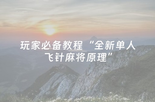 玩家必备教程“全新单人飞针麻将原理”（详细透视教程）-哔哩哔哩