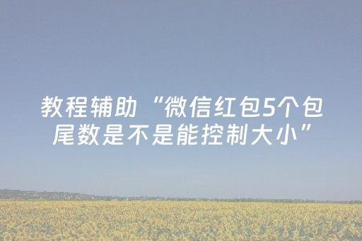 教程辅助“微信红包5个包尾数是不是能控制大小”（详细透视教程）-哔哩哔哩