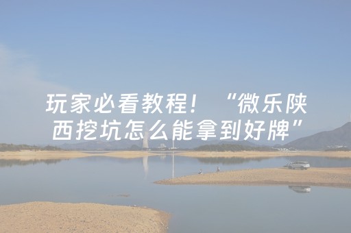 玩家必看教程！“微乐陕西挖坑怎么能拿到好牌”（详细透视教程）-哔哩哔哩