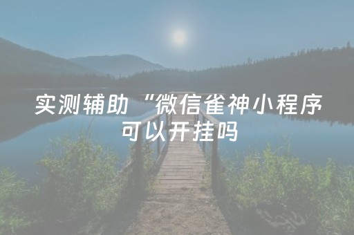 实测辅助“微信雀神小程序可以开挂吗（专用辅牌神器免安装）