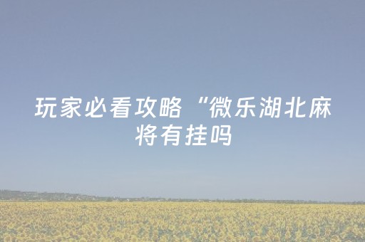玩家必看攻略“微乐湖北麻将有挂吗（专用辅牌神器免安装）