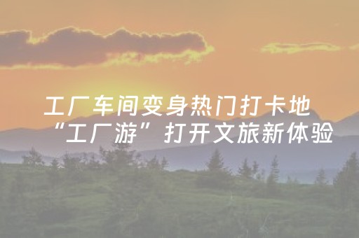 分享辅助“QQ红包斗牛作弊器怎么安装”（详细透视教程）-哔哩哔哩