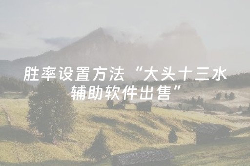 胜率设置方法“大头十三水辅助软件出售”（详细透视教程）-哔哩哔哩