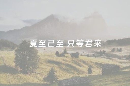 夏至已至 只等君来