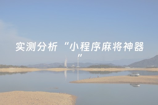 实测分析“小程序麻将神器”（详细透视教程）-哔哩哔哩