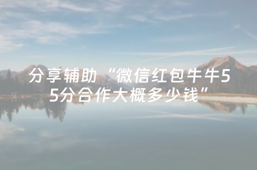 实测教程“闲聊红包尾数作弊外挂软件”（详细透视教程）-哔哩哔哩