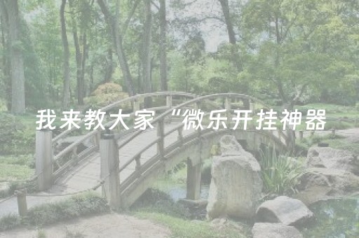 我来教大家“微乐开挂神器（专用辅牌神器免安装）