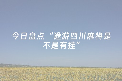 今日盘点“途游四川麻将是不是有挂”（详细透视教程）-哔哩哔哩